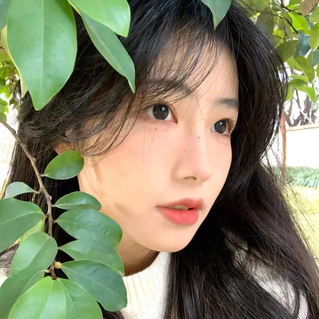 夫人她套路太深
