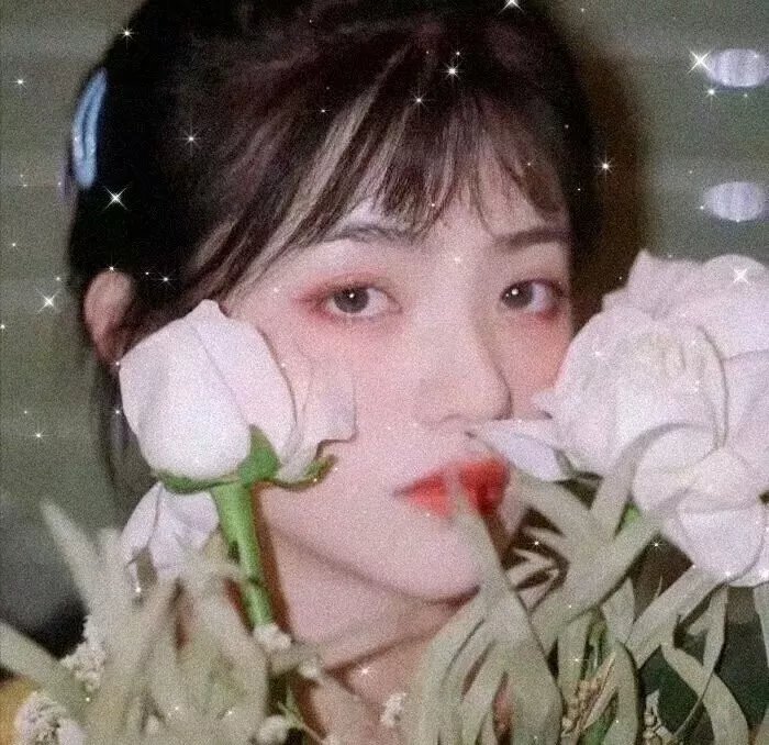青春无季